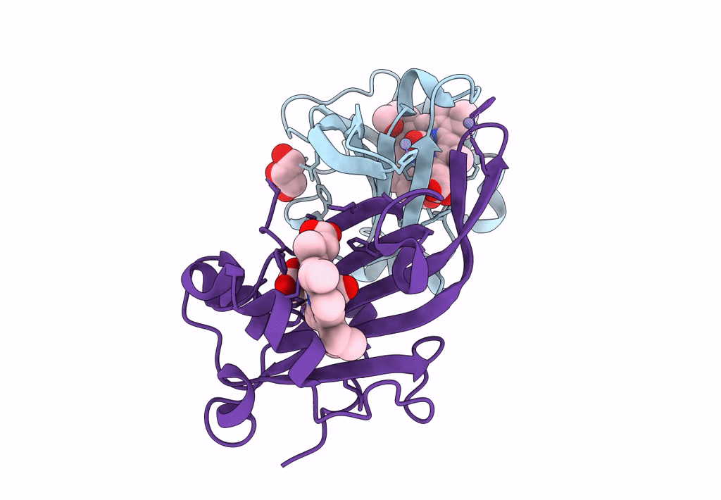 7ZSX image