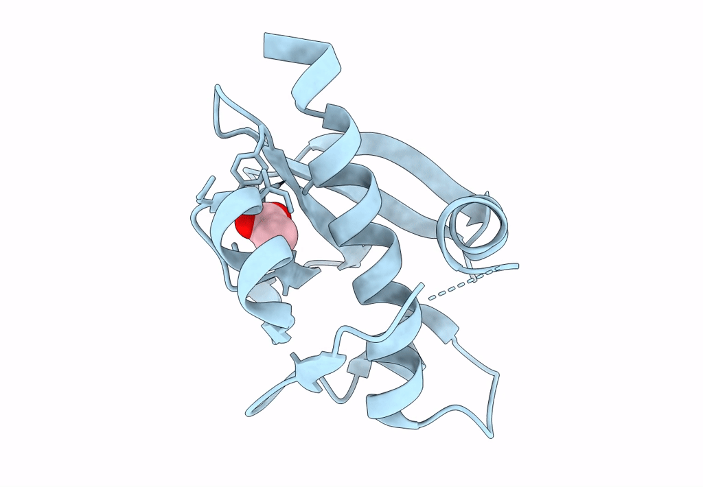 7ZUA image