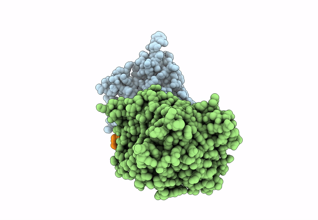7ZX4 image