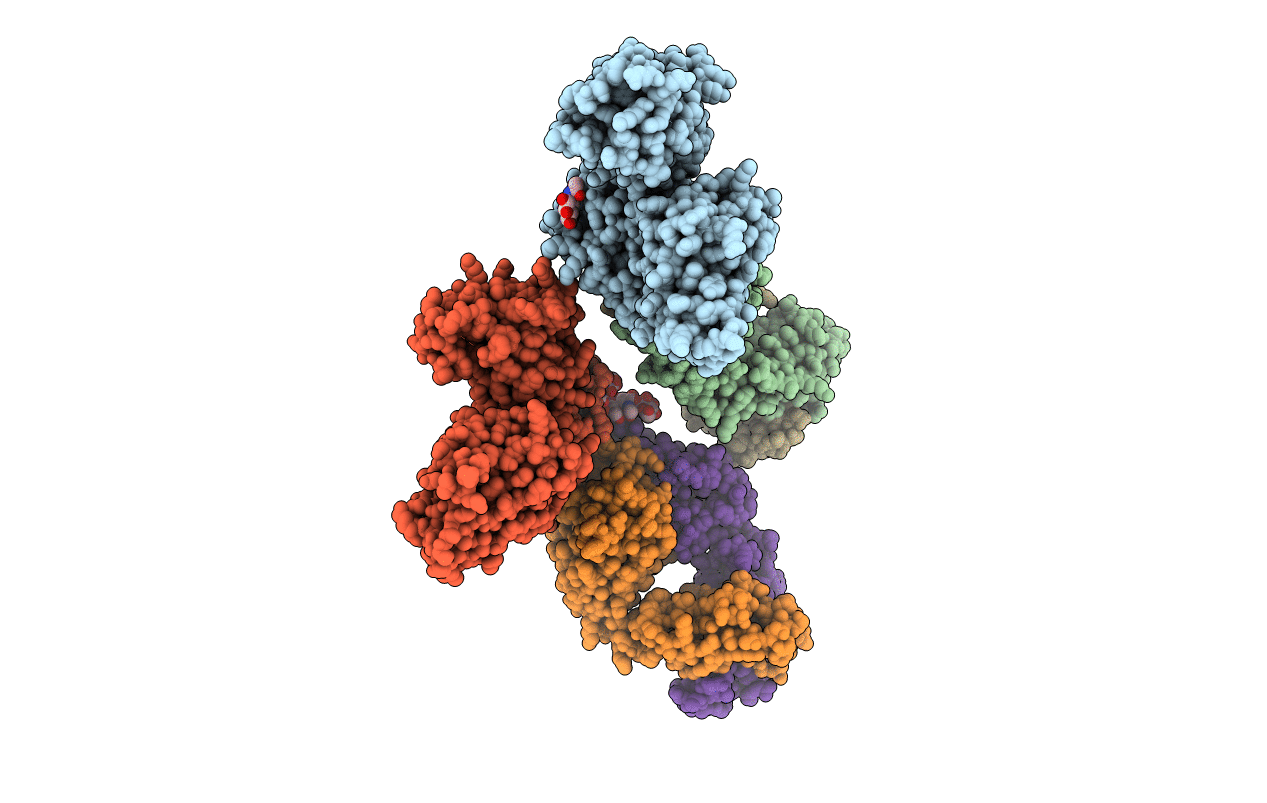 7ZXG image