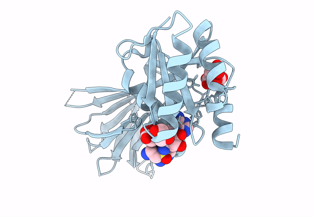 7ZZC image