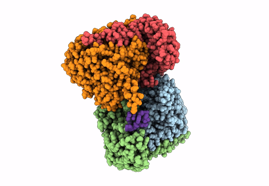 8A11 image