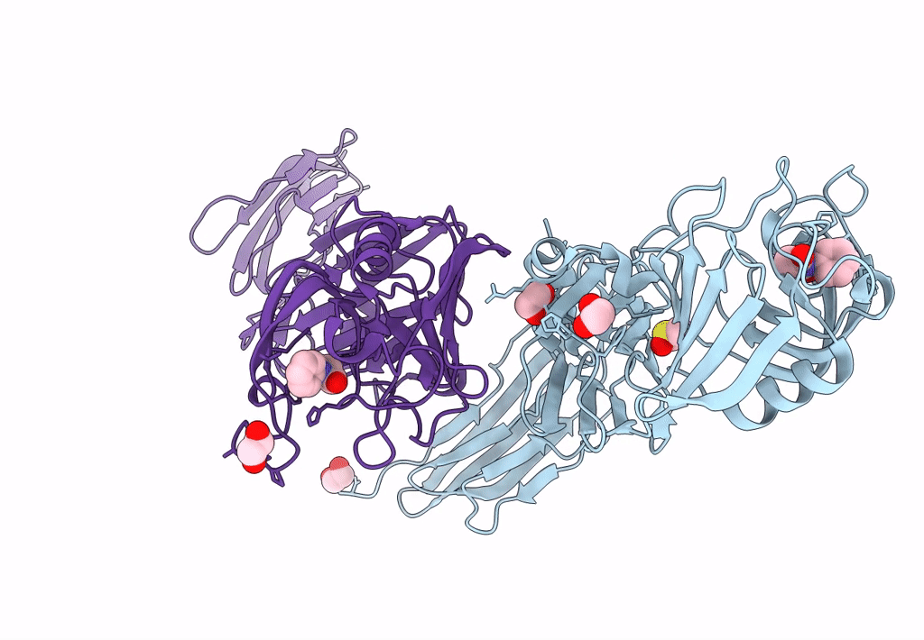 8A1J image