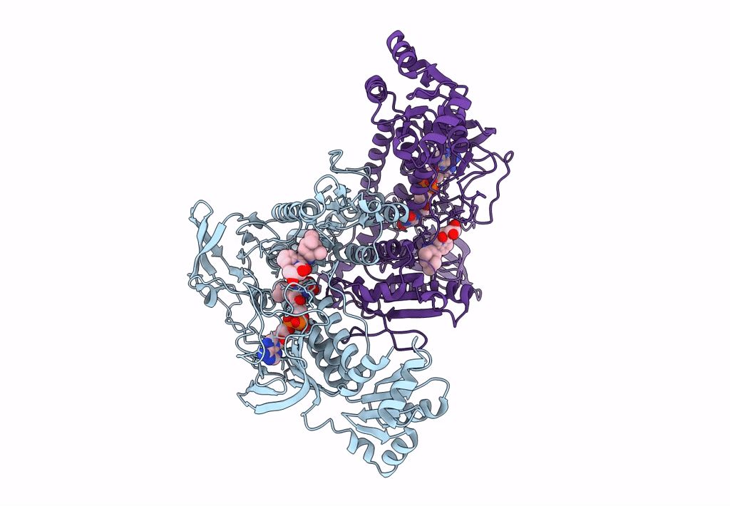 8A1R image