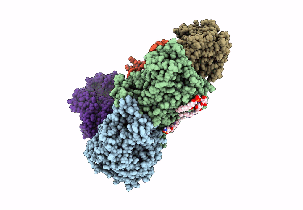 8A1T image