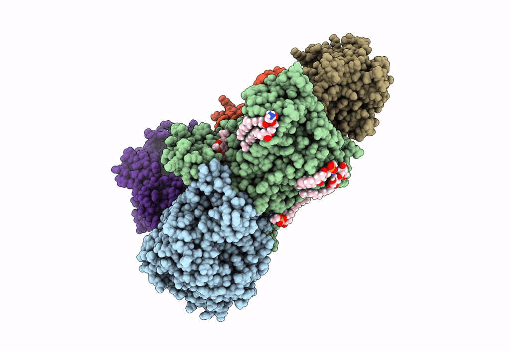 8A1W image