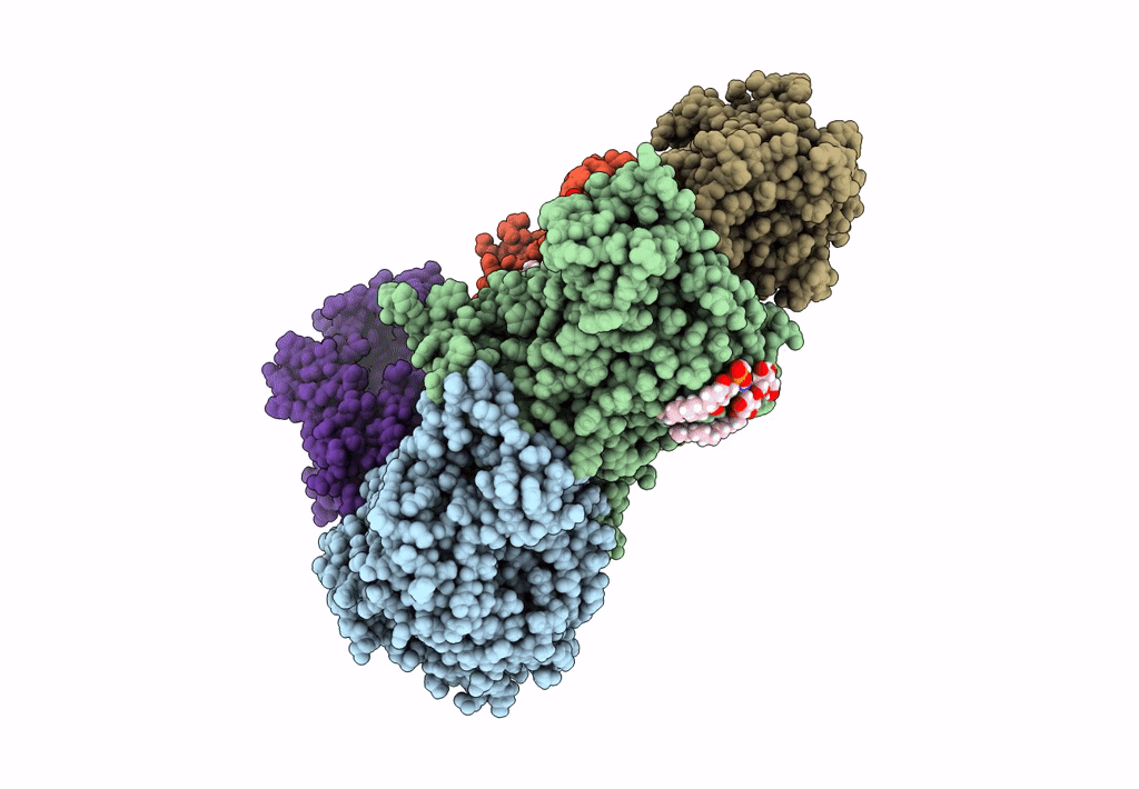 8A1X image