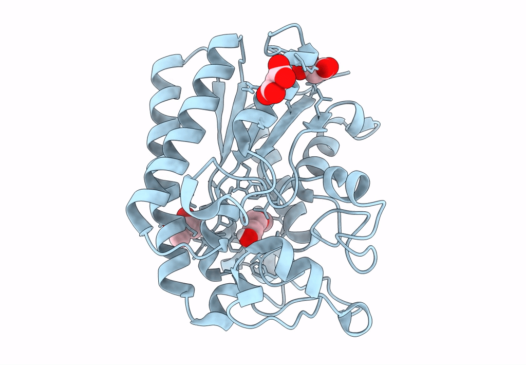 8A25 image