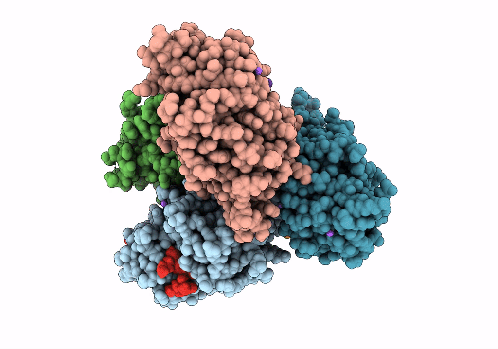 8A5B image