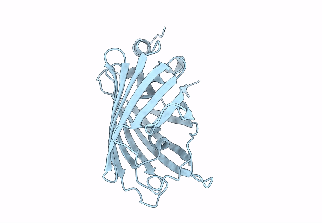 8A6N image