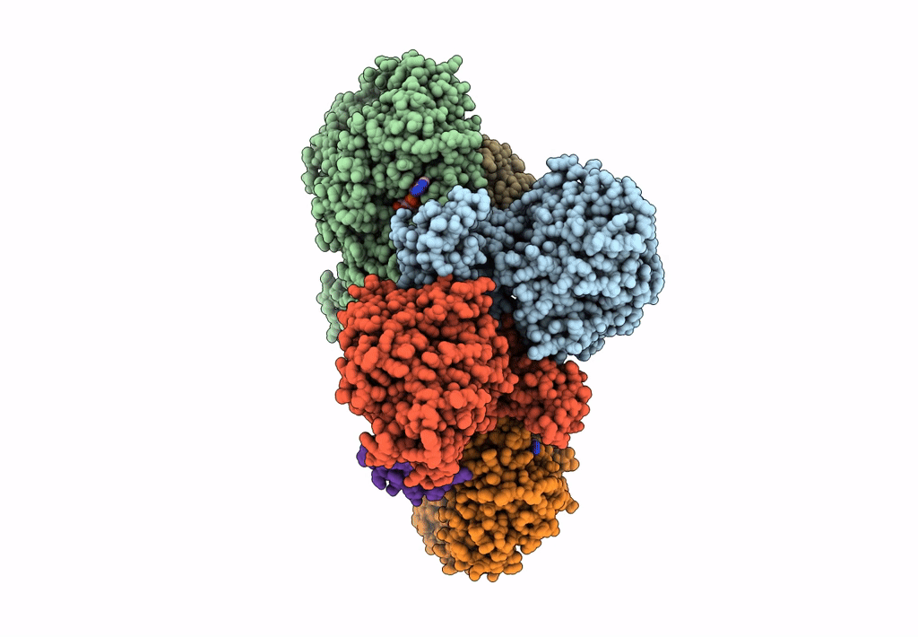 8A6T image