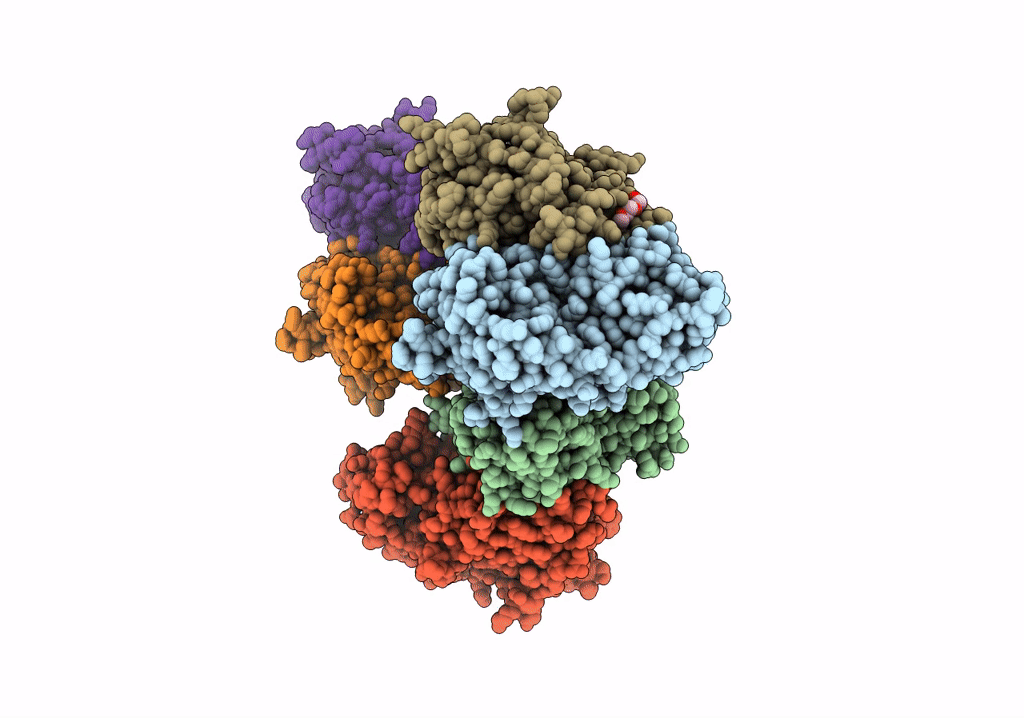 8A6Z image