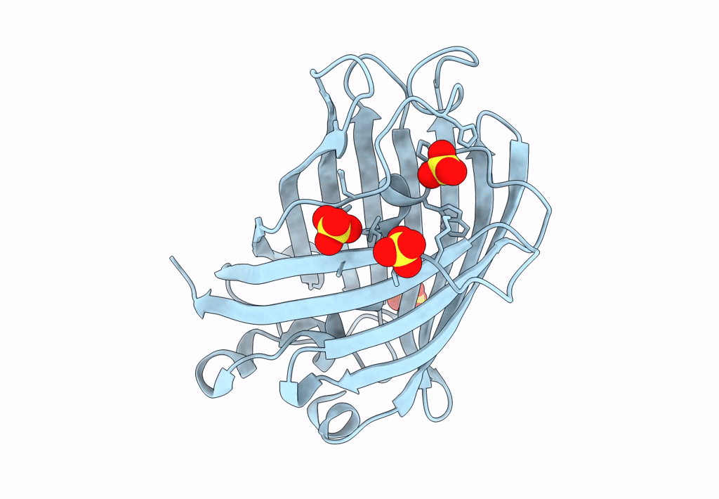 8A83 image