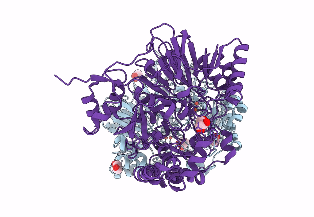 8A90 image