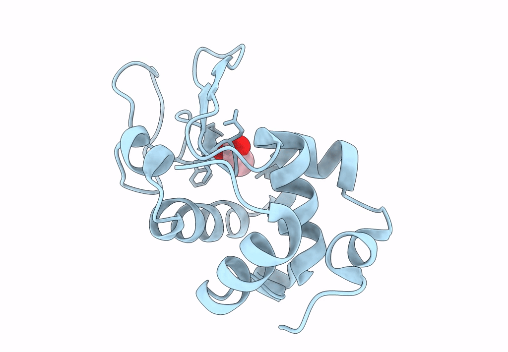 8A9R image