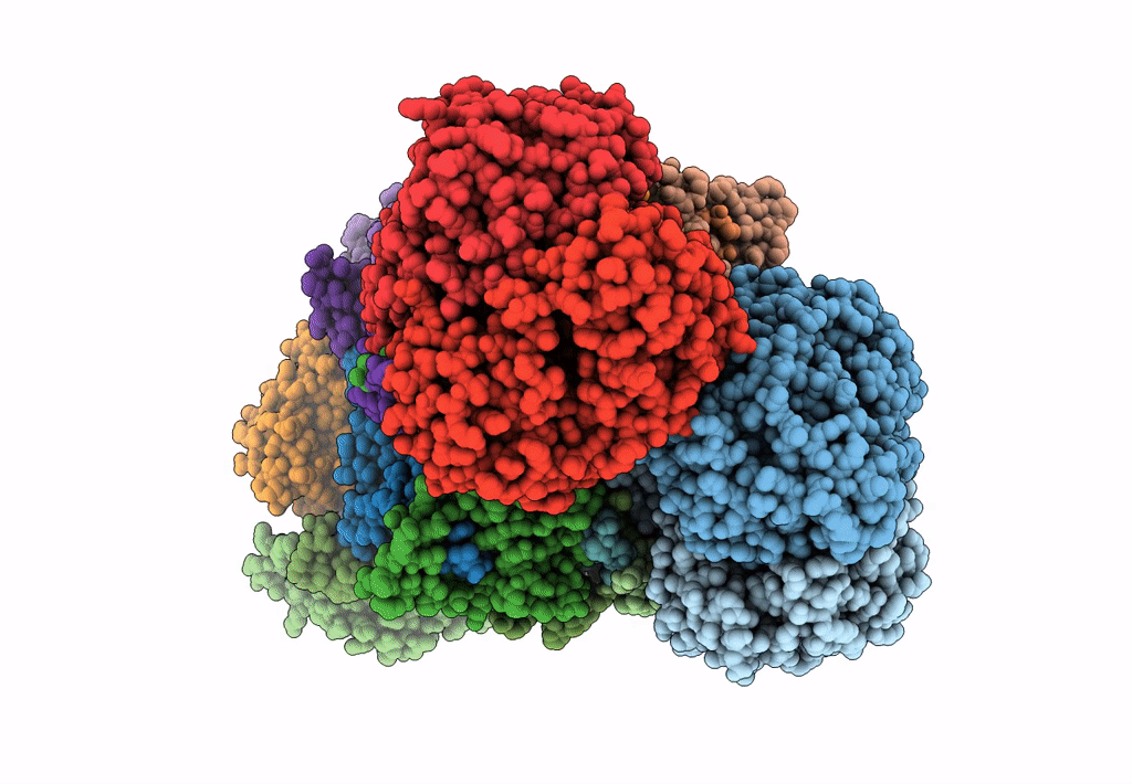 8ABJ image