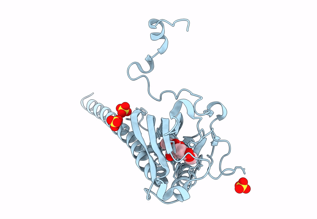 8ABW image