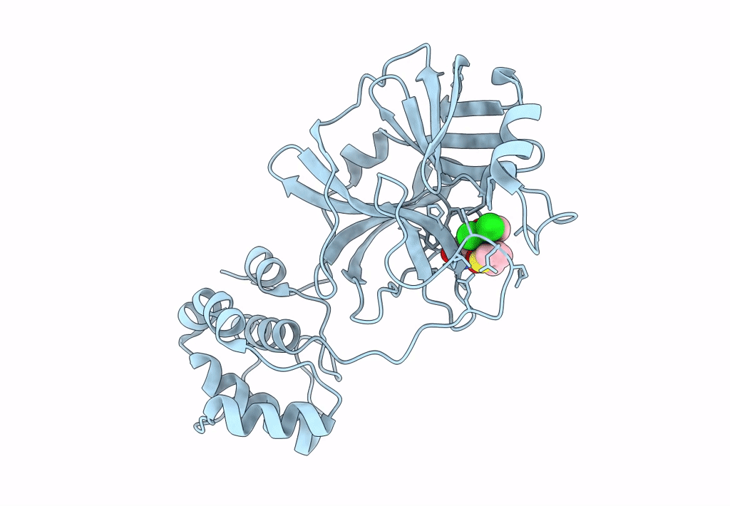 8ACD image