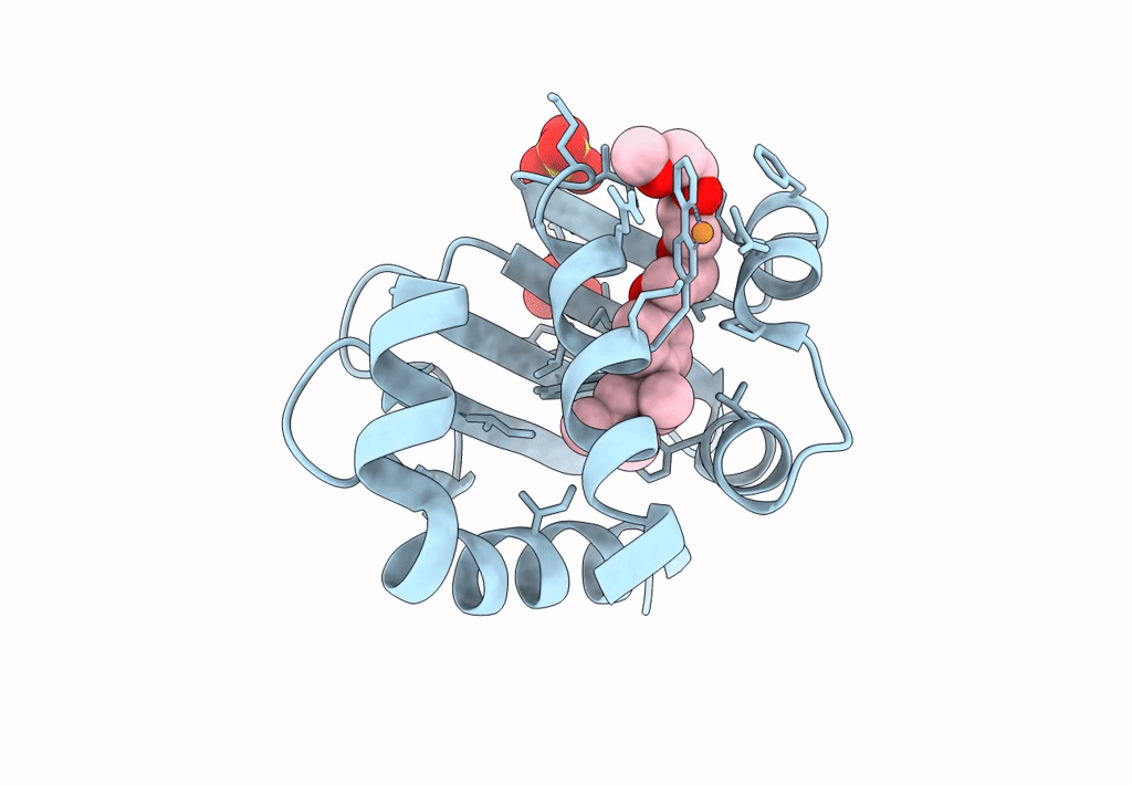 8AF3 image