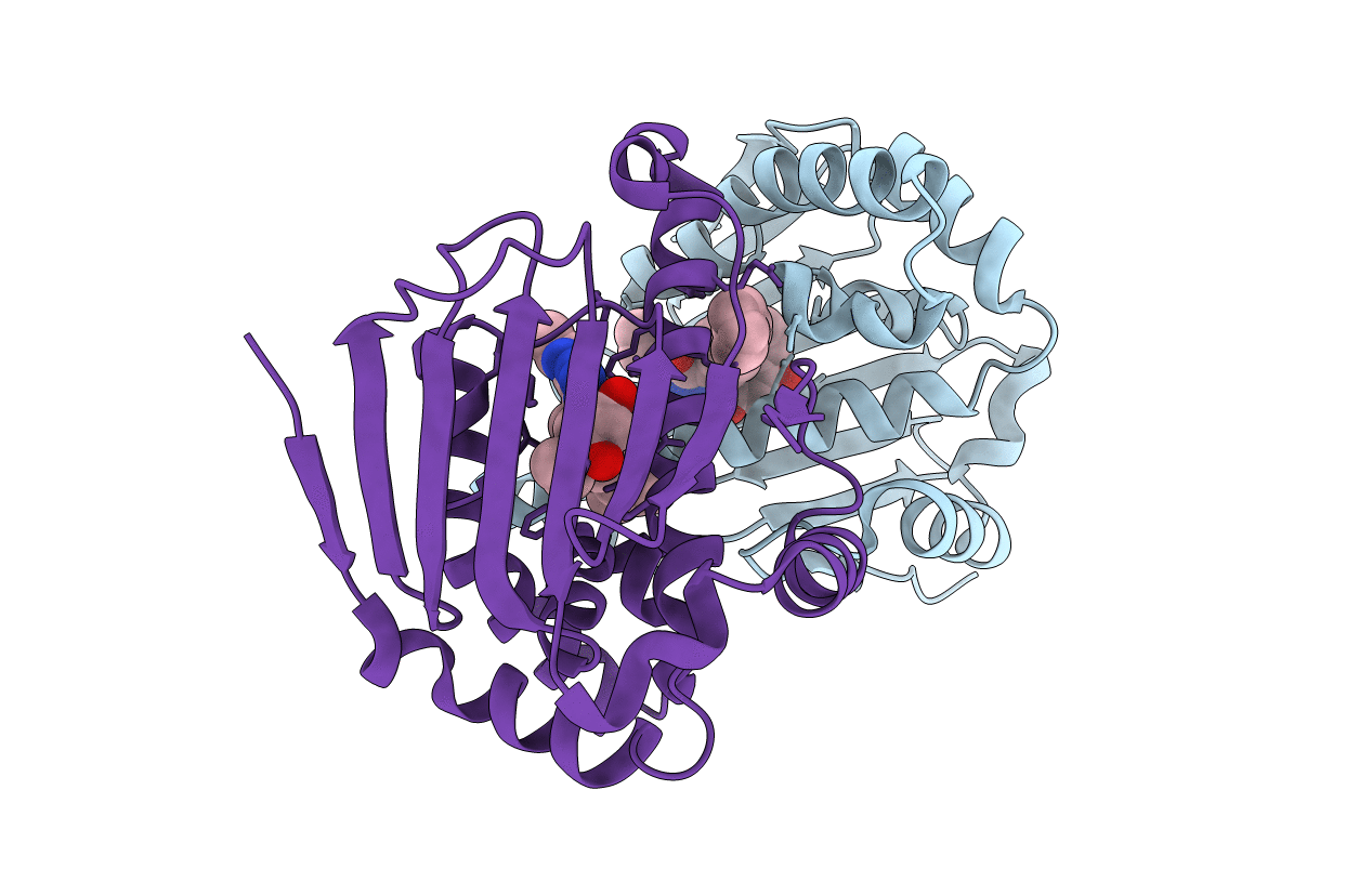 8AGI image