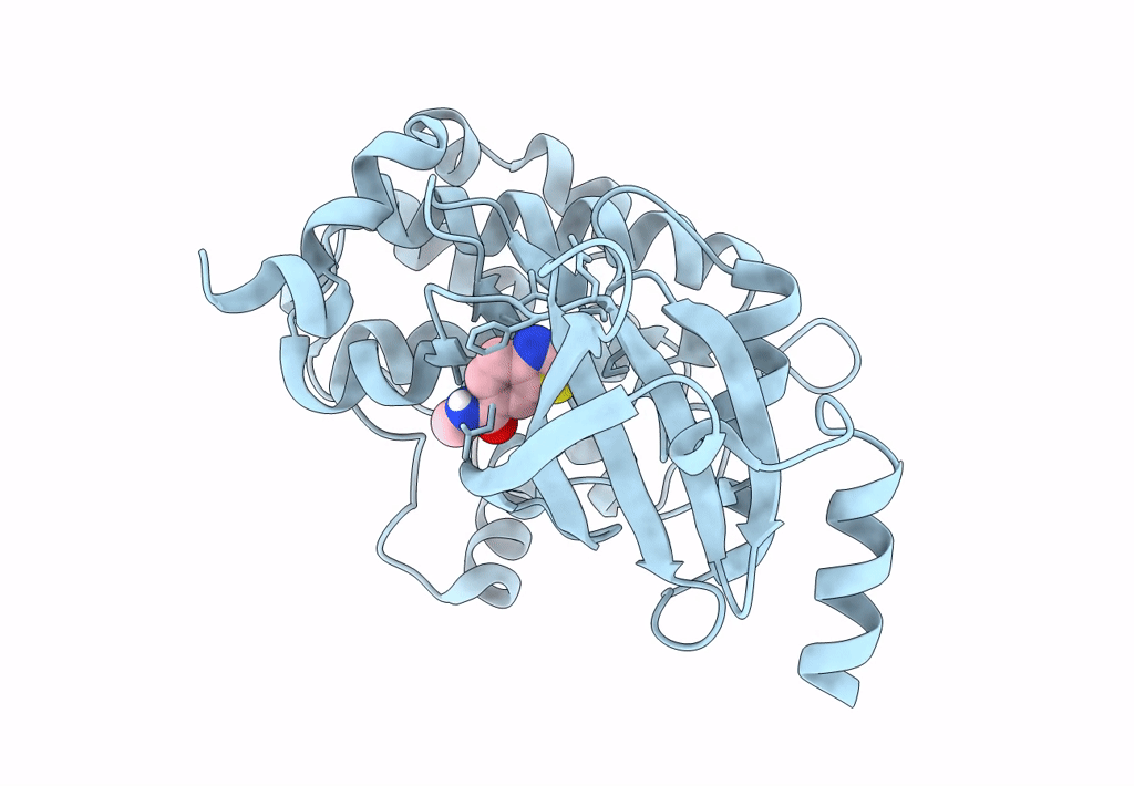 8AHI image