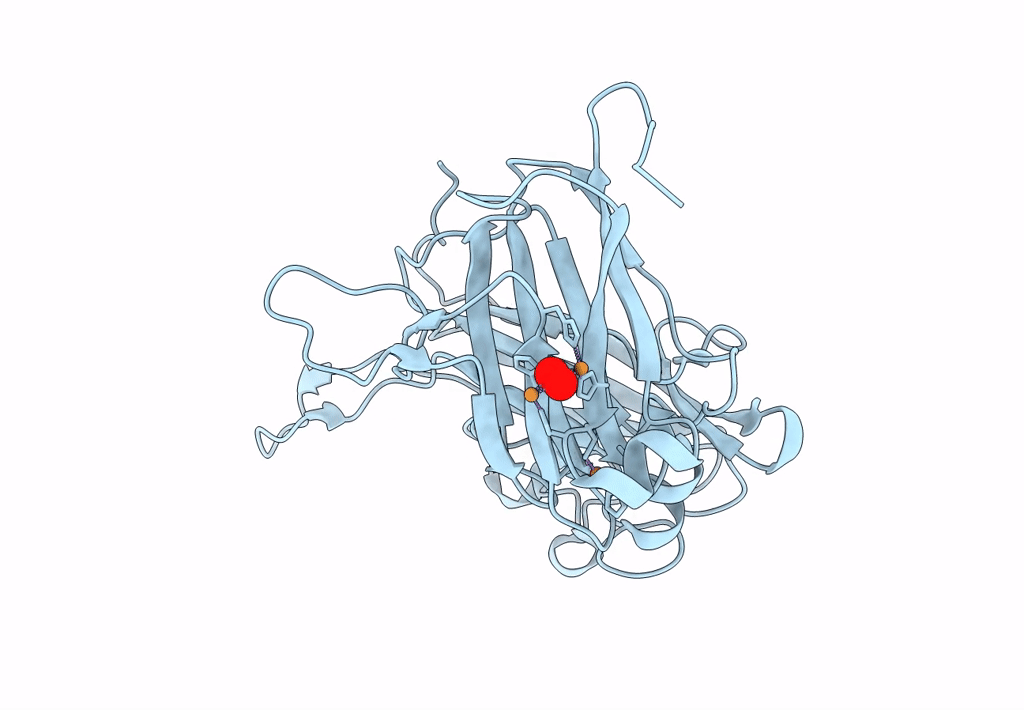 8AIP image