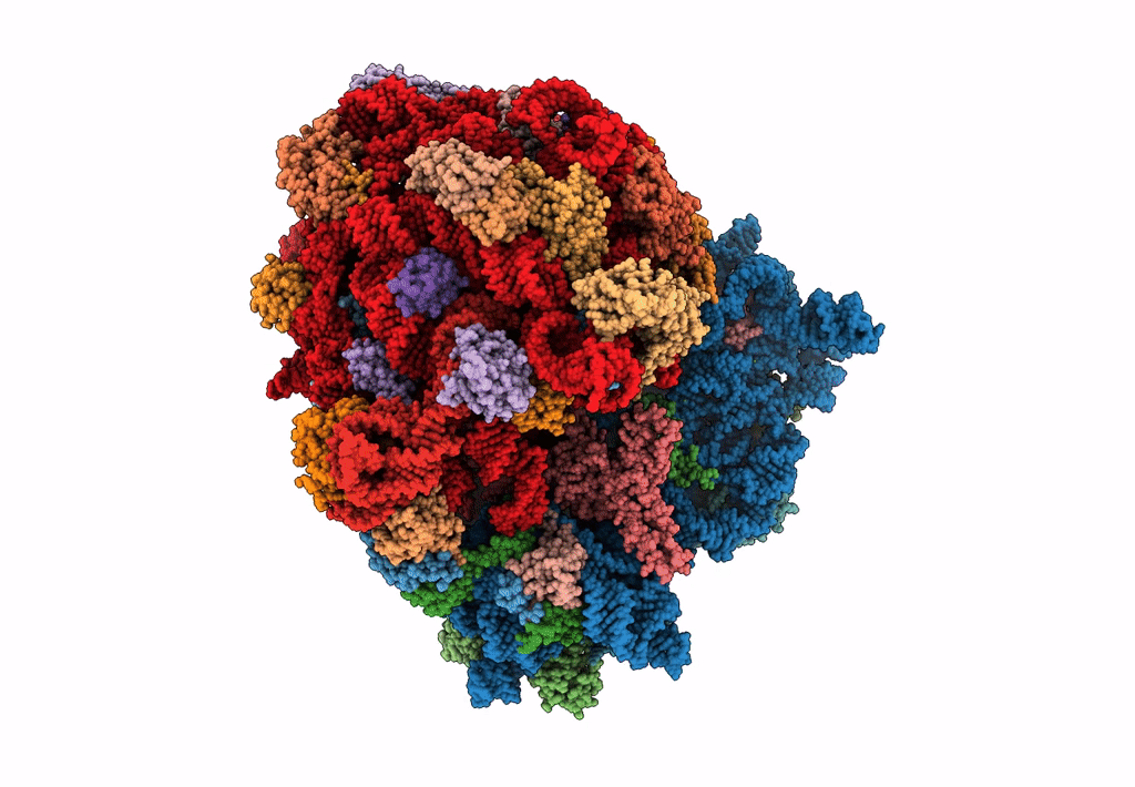 8AKN image