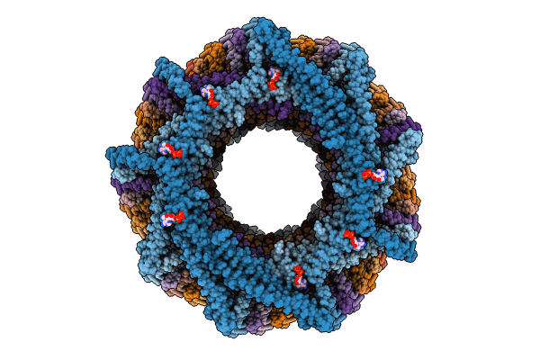 8AKQ image
