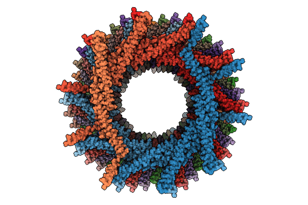 8AKR image