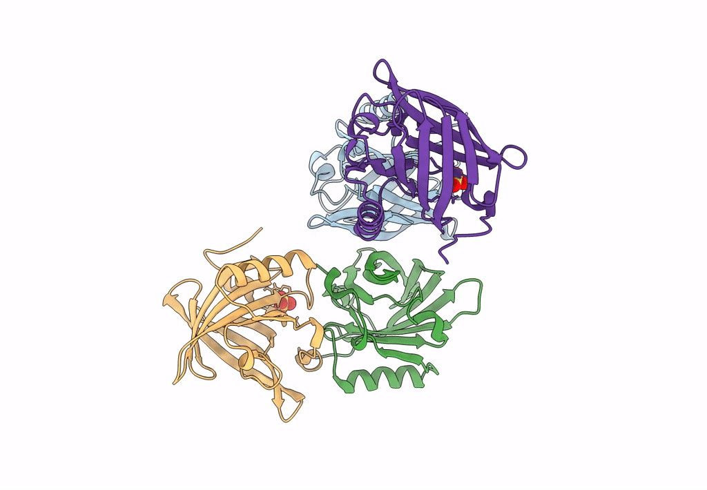 8AMC image