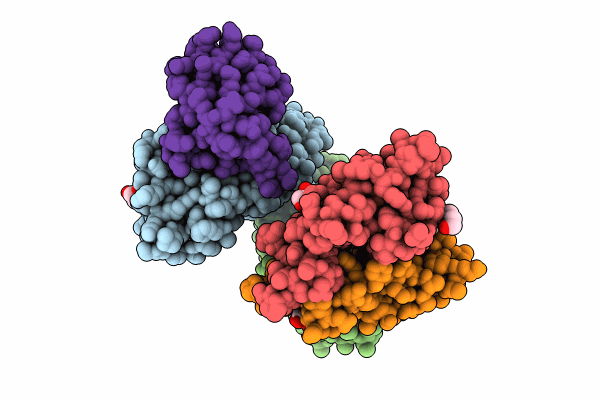 8AMS image