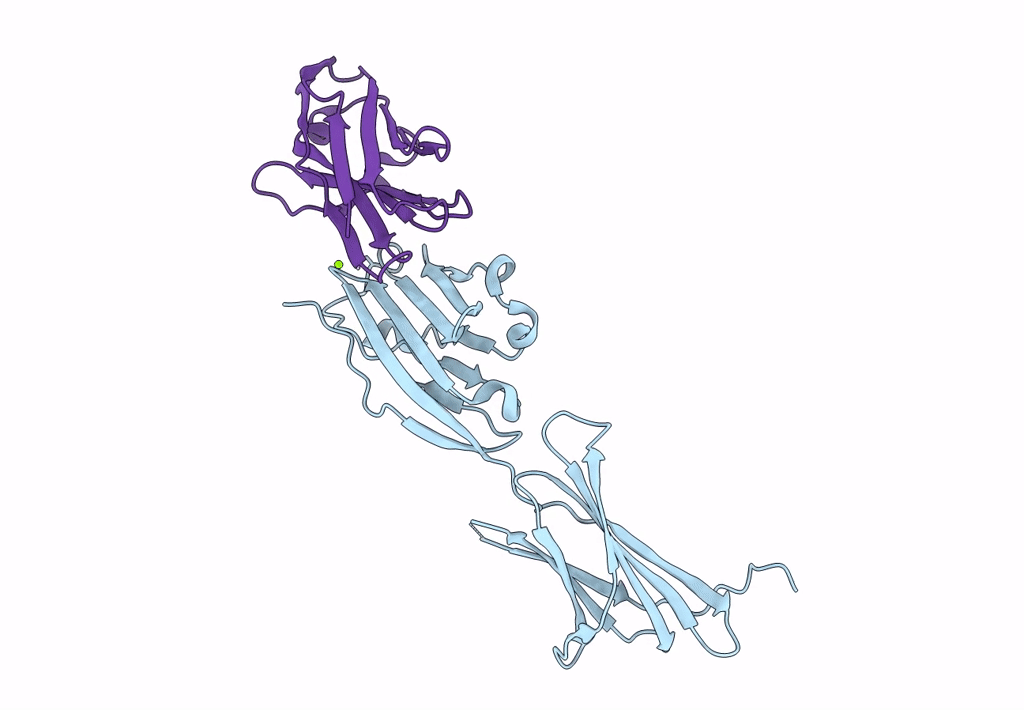 8AOM image