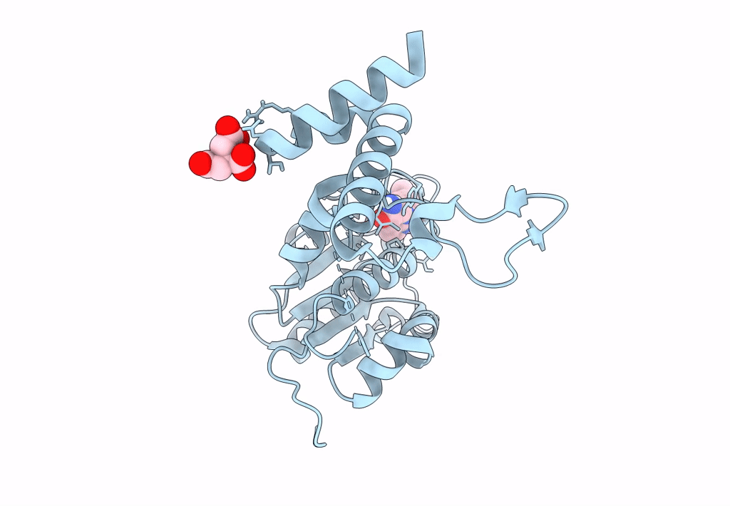 8APV image