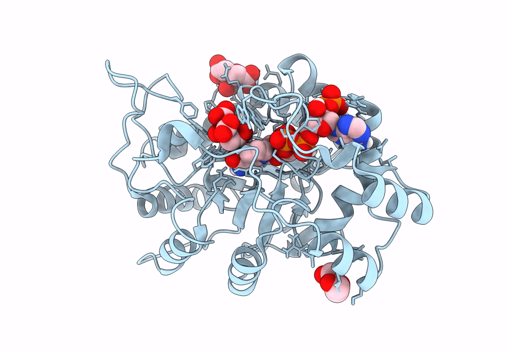 8AQP image