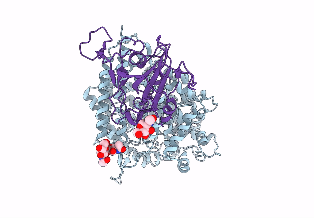 8AQV image