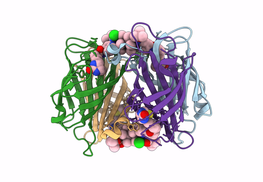 8AQX image