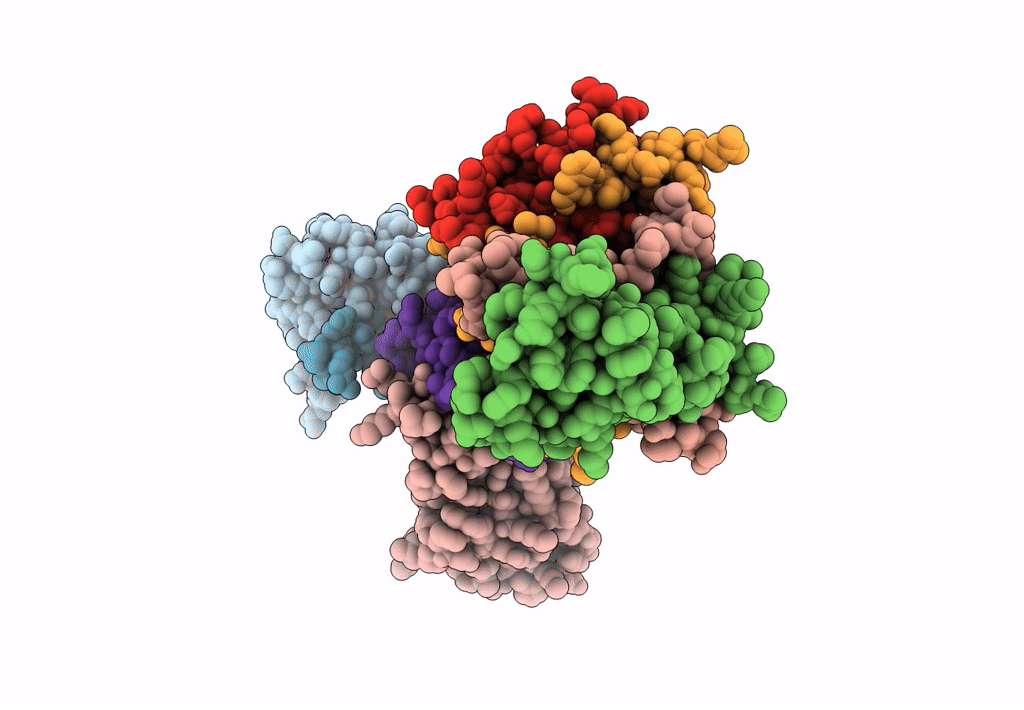 8ARB image