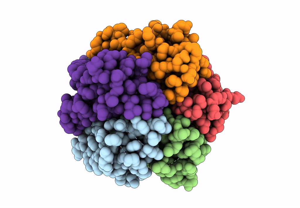 8AS5 image