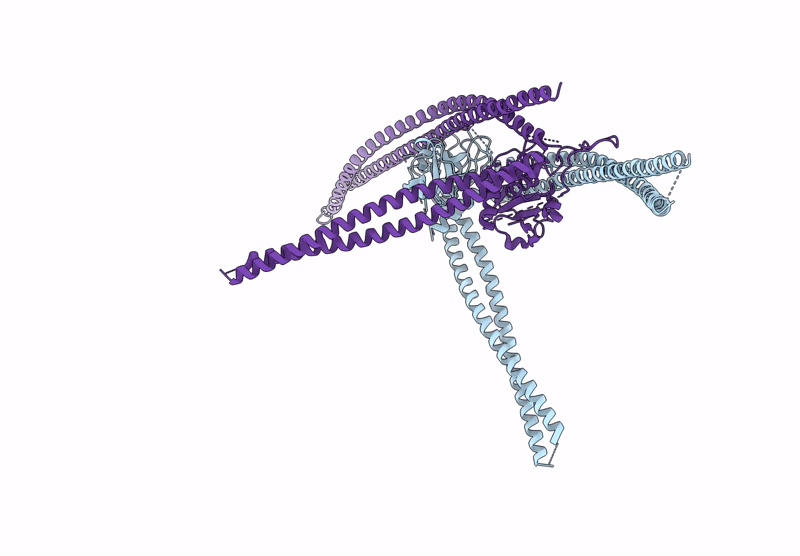 8AUC image