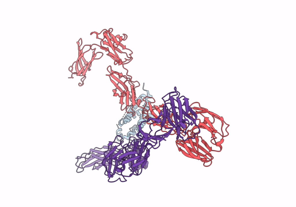 8AVB image