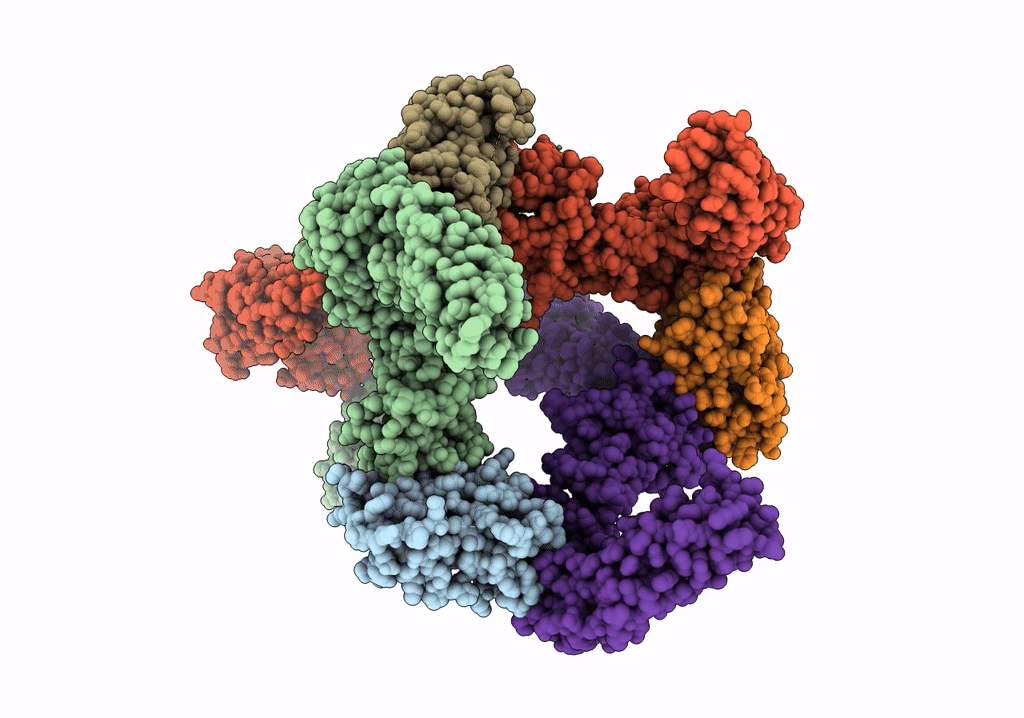8AVC image