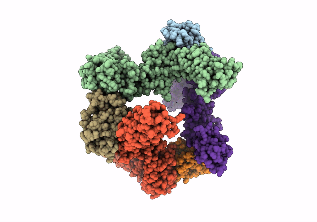 8AVD image