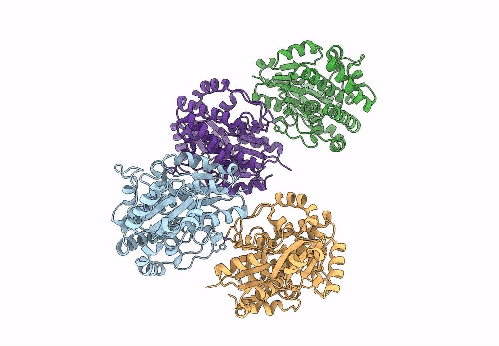 8AVZ image