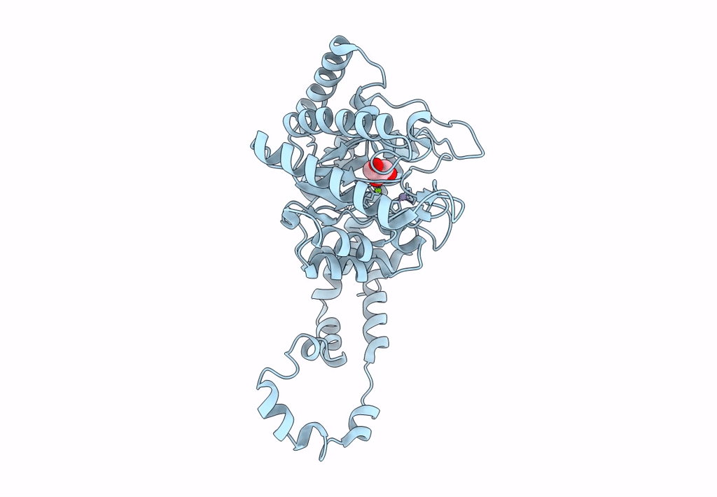 8AWB image