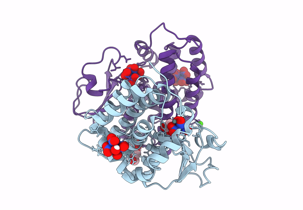 8AX1 image