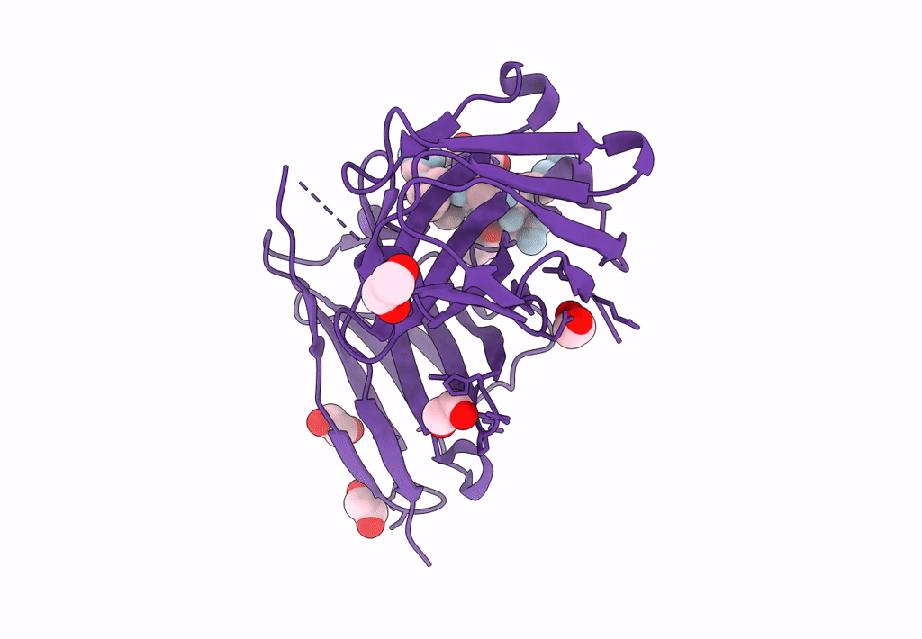8AXH image