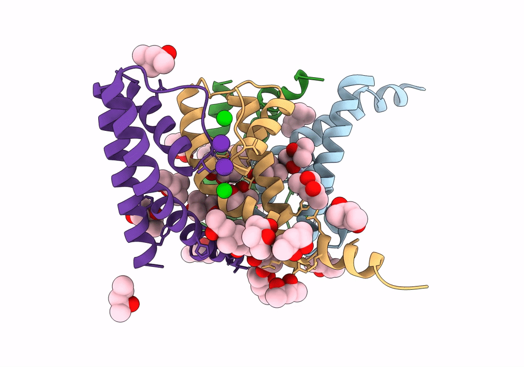 8AYP image