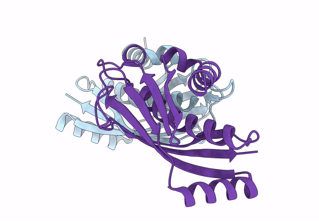 8AYV image