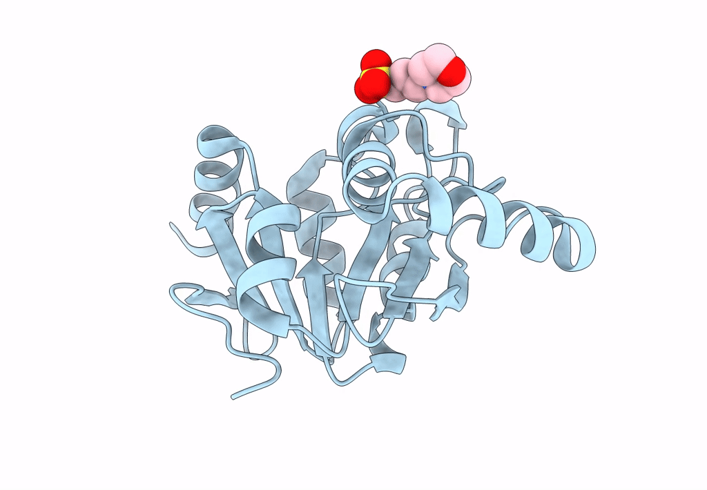 8AZC image