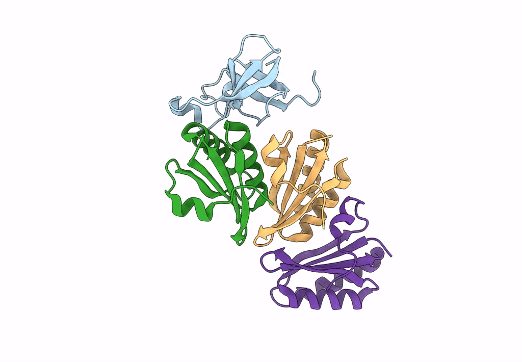 8B11 image